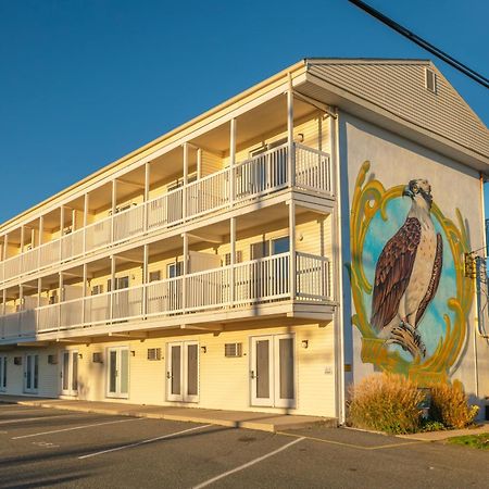 Drifting Sands Oceanfront Hotel Ship Bottom Екстериор снимка